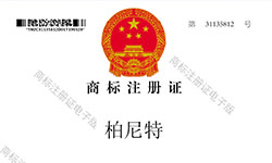 收购博耐100%股份